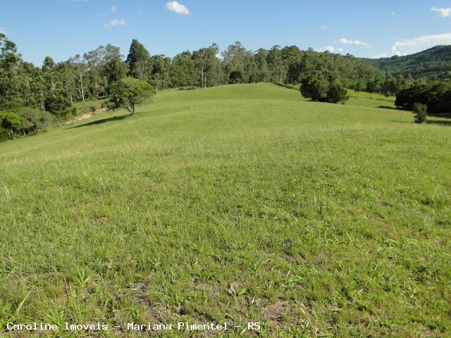 Fazenda à venda com 5 quartos, 625000m² - Foto 24