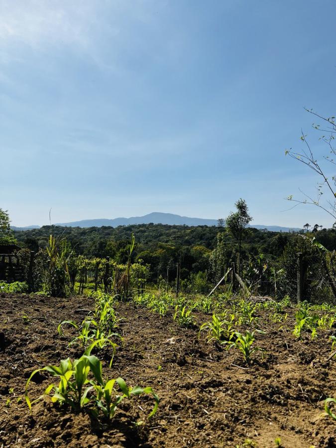 Fazenda à venda, 6300m² - Foto 41