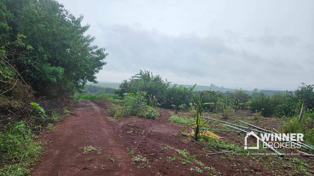 Sítio à venda com 3 quartos, 411400M2 - Foto 10