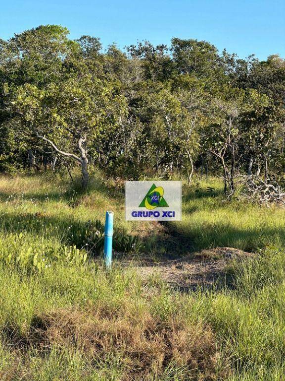 Fazenda à venda, 10120000M2 - Foto 32