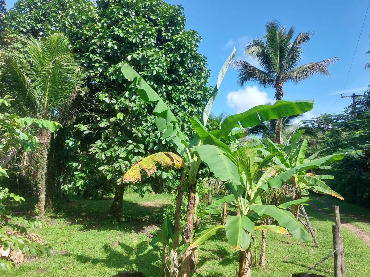 Fazenda à venda com 3 quartos, 68000m² - Foto 21