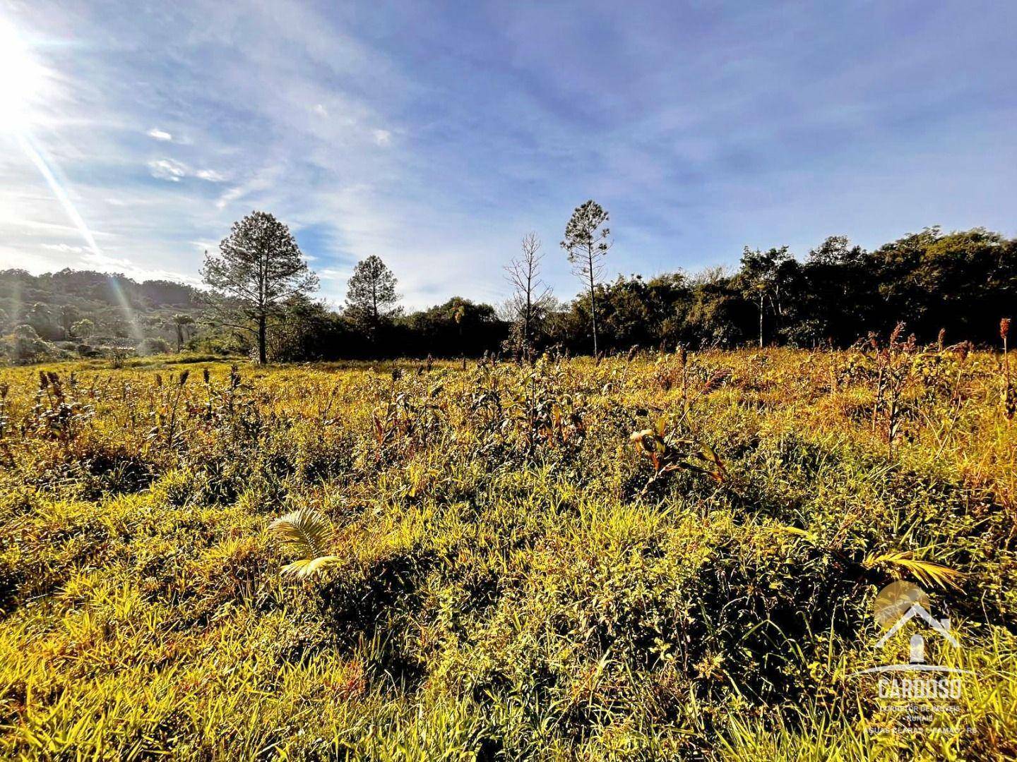 Sítio à venda, 110000M2 - Foto 4