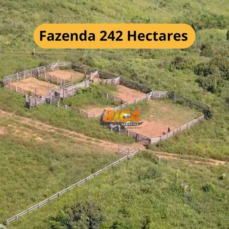 Fazenda-Sítio-Chácara, 242 hectares - Foto 1