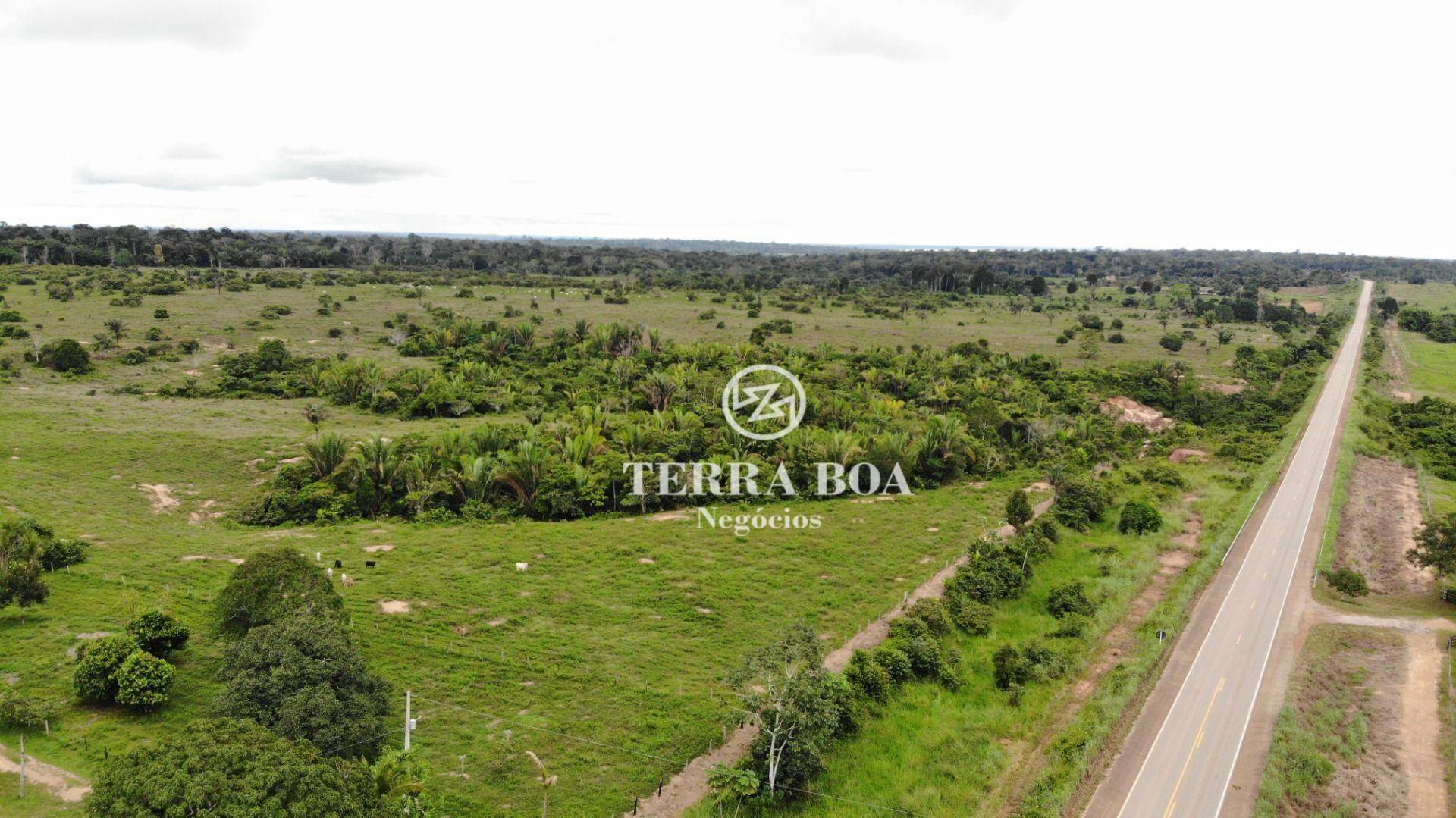 Fazenda-Sítio-Chácara, 253 hectares - Foto 2