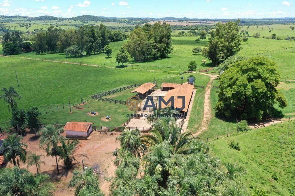 Fazenda à venda com 6 quartos, 500m² - Foto 7