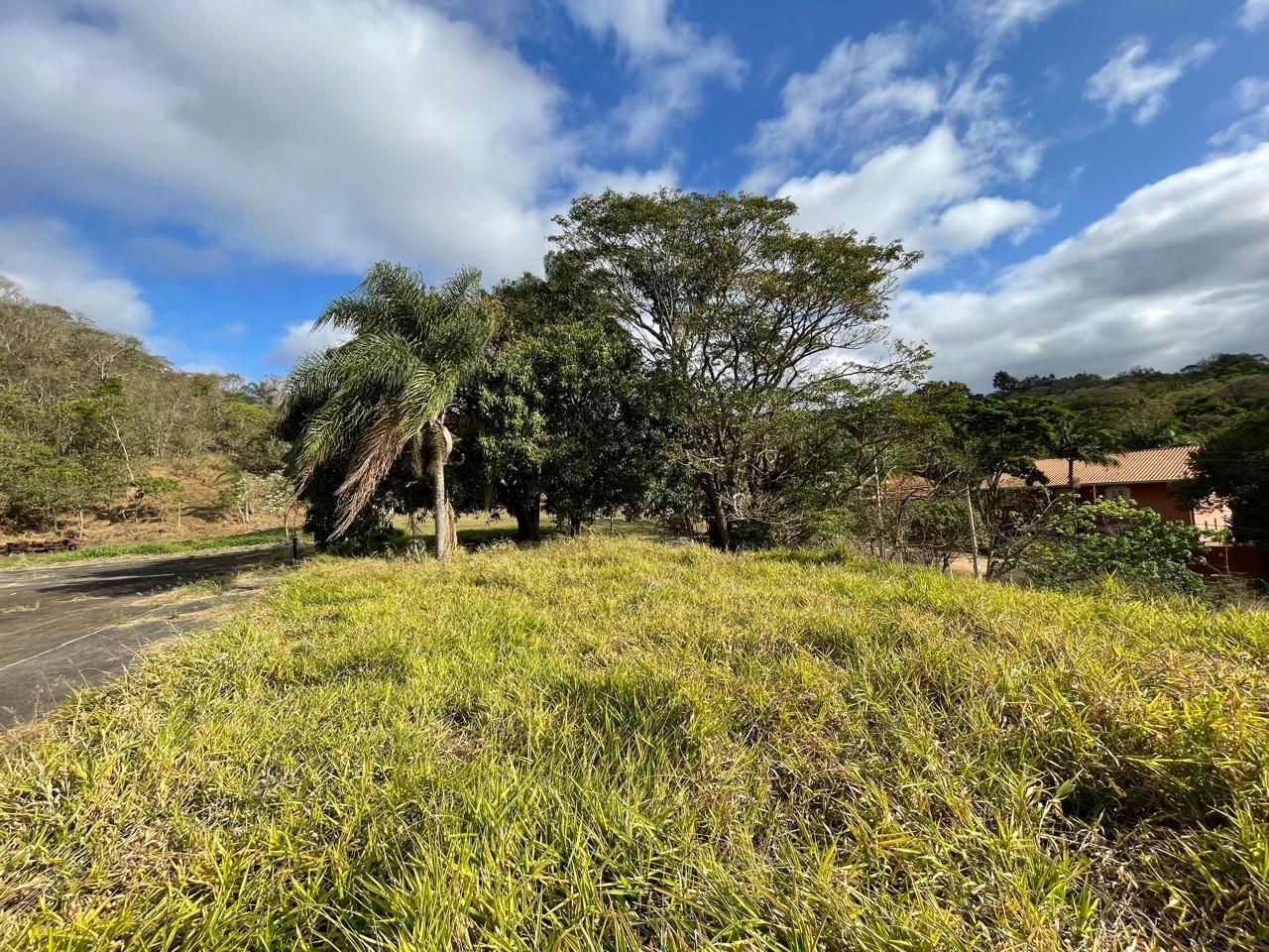 Loteamento e Condomínio à venda, 3929M2 - Foto 7