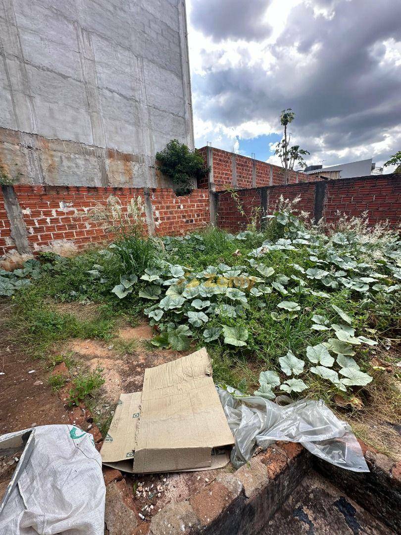 Casa à venda com 3 quartos, 325M2 - Foto 7