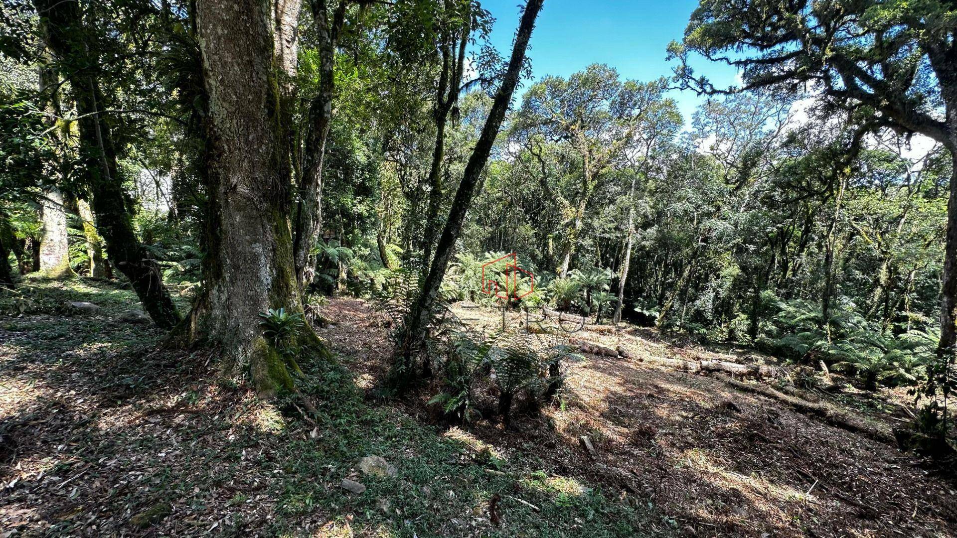 Loteamento e Condomínio à venda, 1096M2 - Foto 4