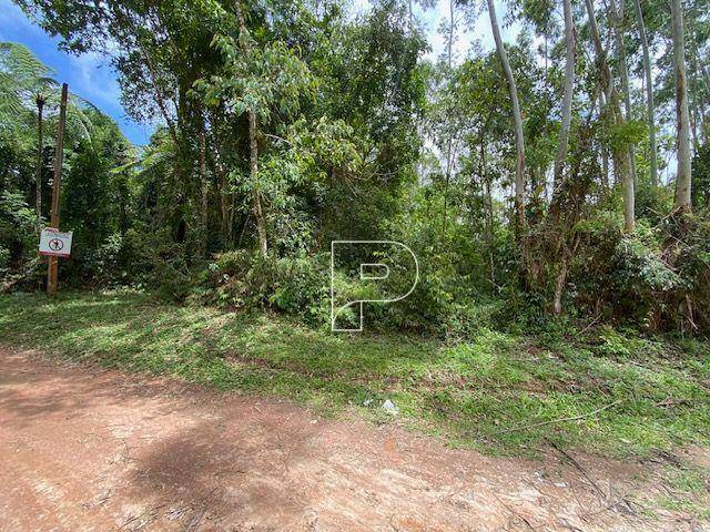 Terreno, 7984 m² - Foto 5