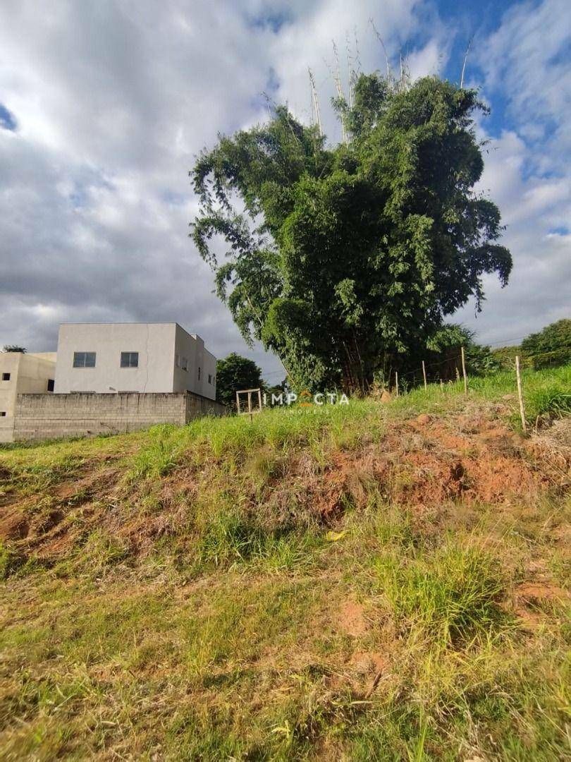 Terreno à venda, 240M2 - Foto 3