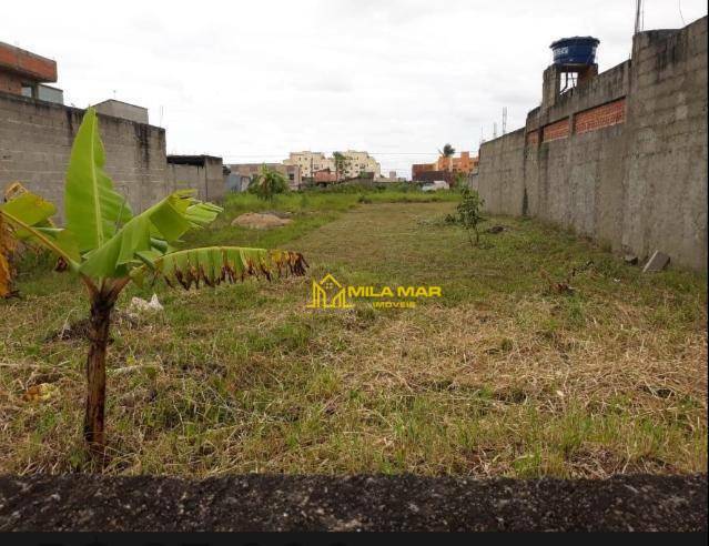 Terreno à venda, 288M2 - Foto 6