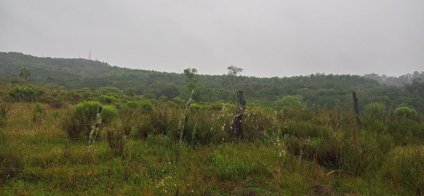 Loteamento e Condomínio à venda com 3 quartos, 70000m² - Foto 13