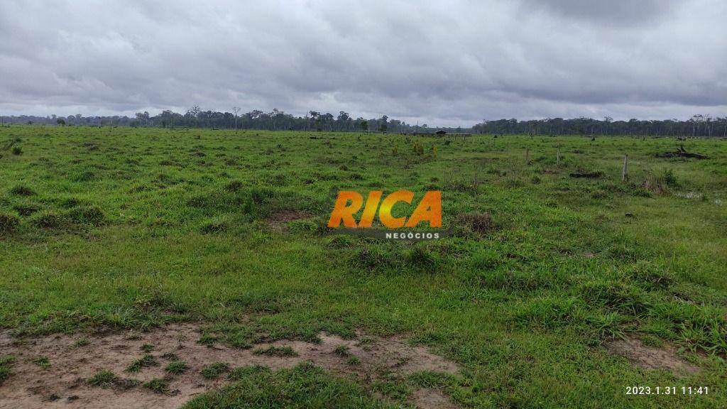 Fazenda à venda com 3 quartos, 5280000M2 - Foto 7