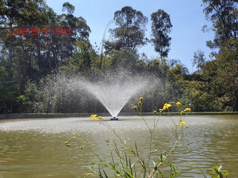 Fazenda à venda com 6 quartos, 600m² - Foto 6