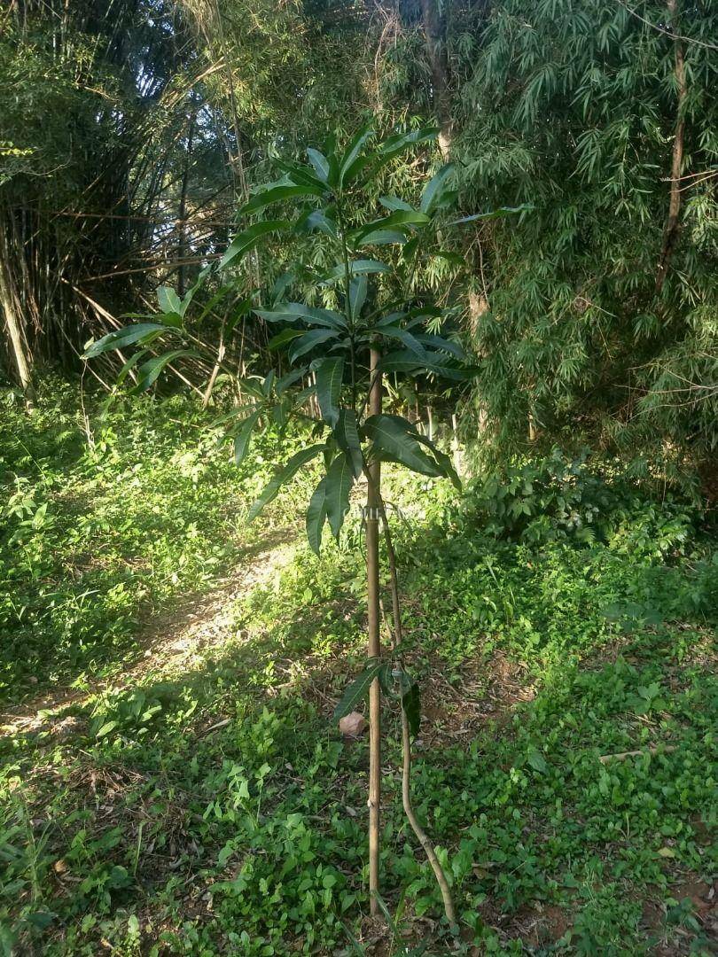 Loteamento e Condomínio à venda, 810M2 - Foto 8