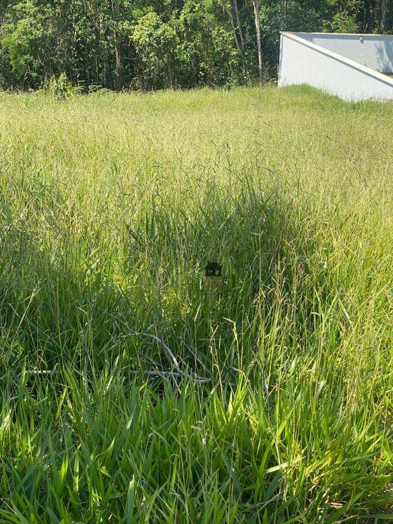 Loteamento e Condomínio à venda, 722M2 - Foto 2