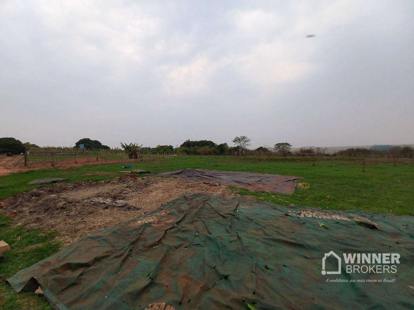 Chácara à venda com 3 quartos, 24200M2 - Foto 12