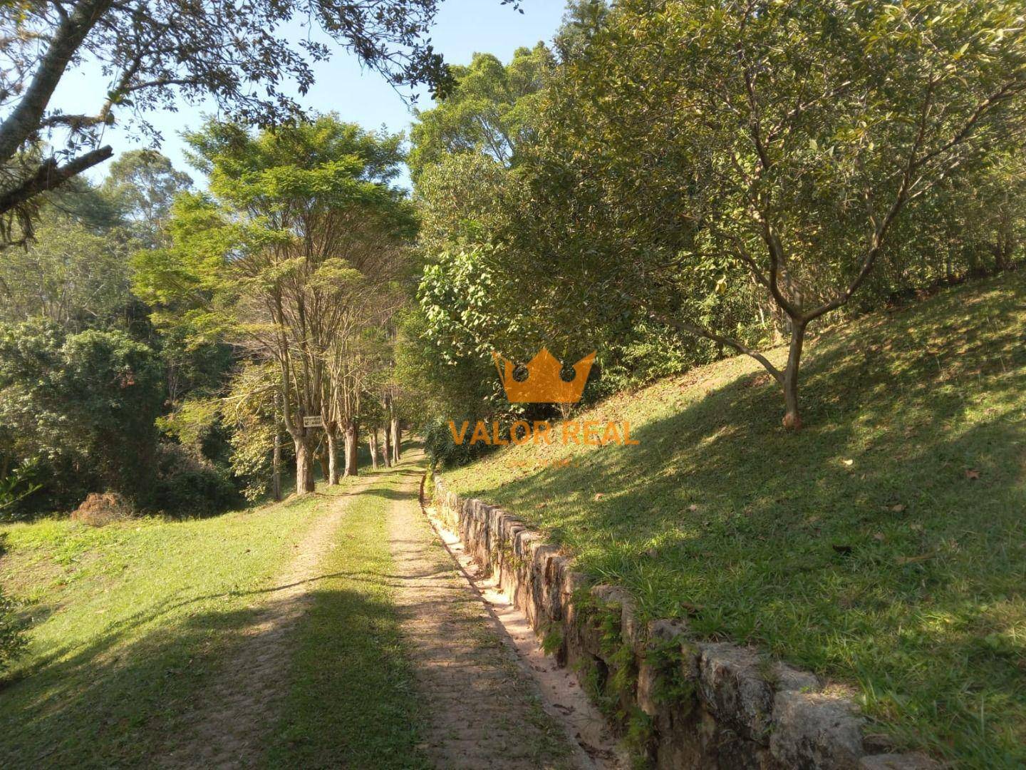 Sítio, 15 quartos, 10 hectares - Foto 17