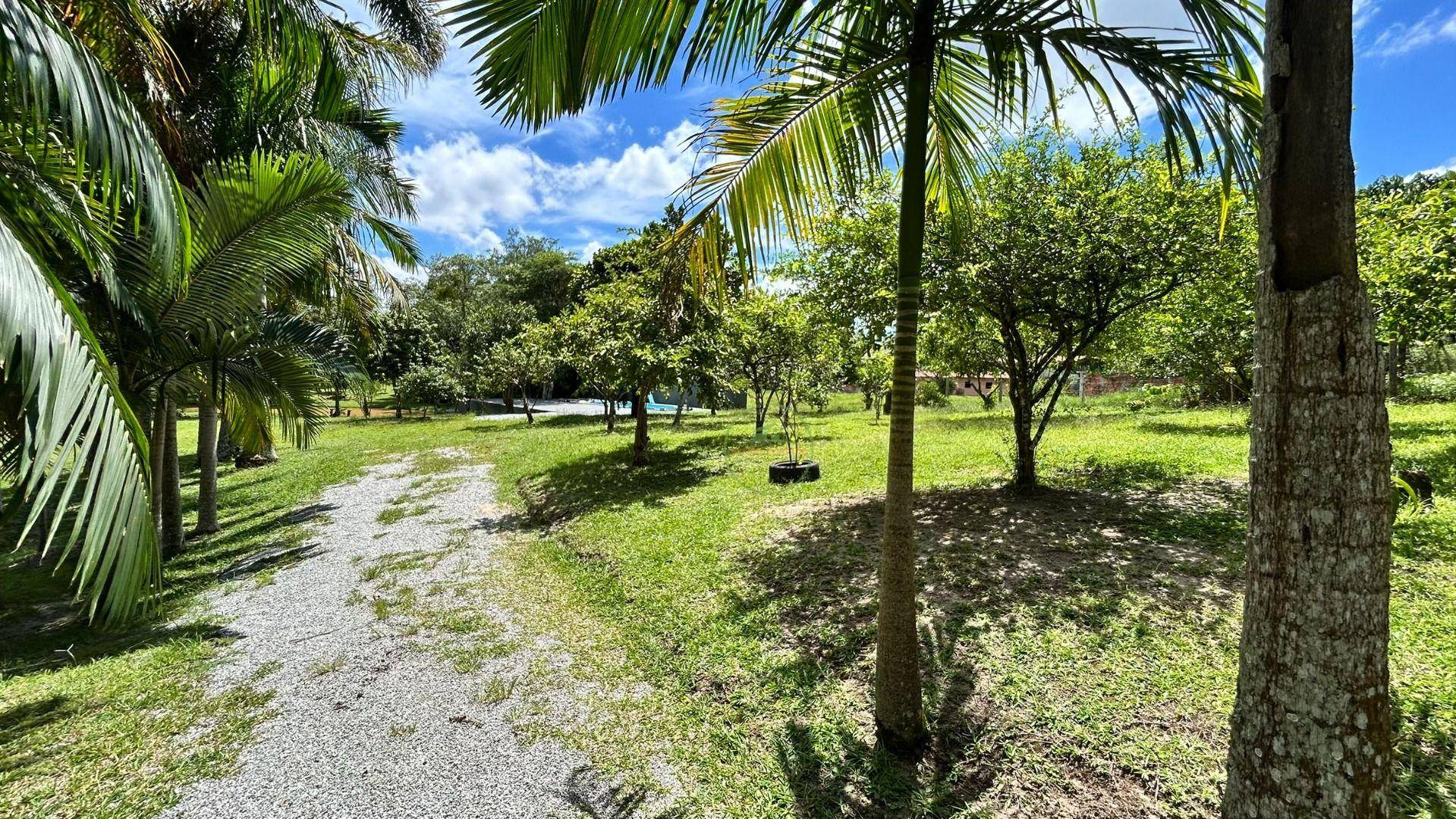 Chácara, 2 hectares - Foto 28