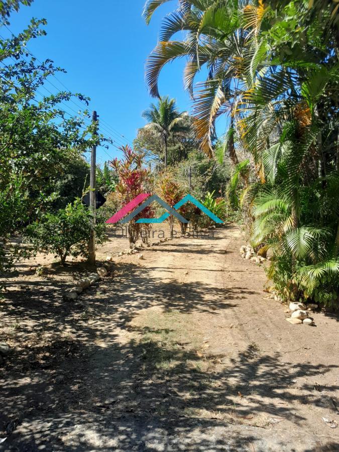 Fazenda à venda com 3 quartos, 5000m² - Foto 22