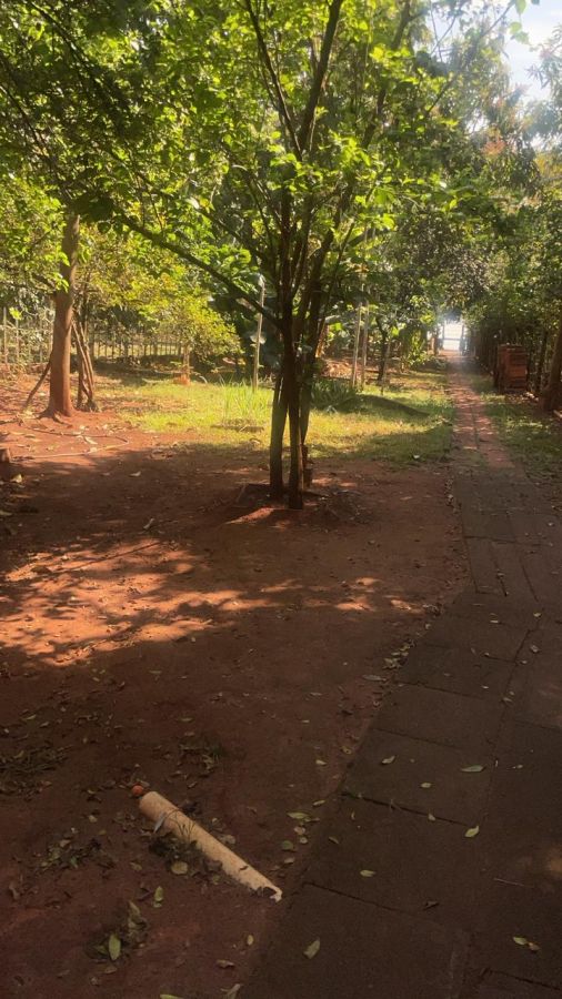 Sítio à venda com 2 quartos, 325m² - Foto 4