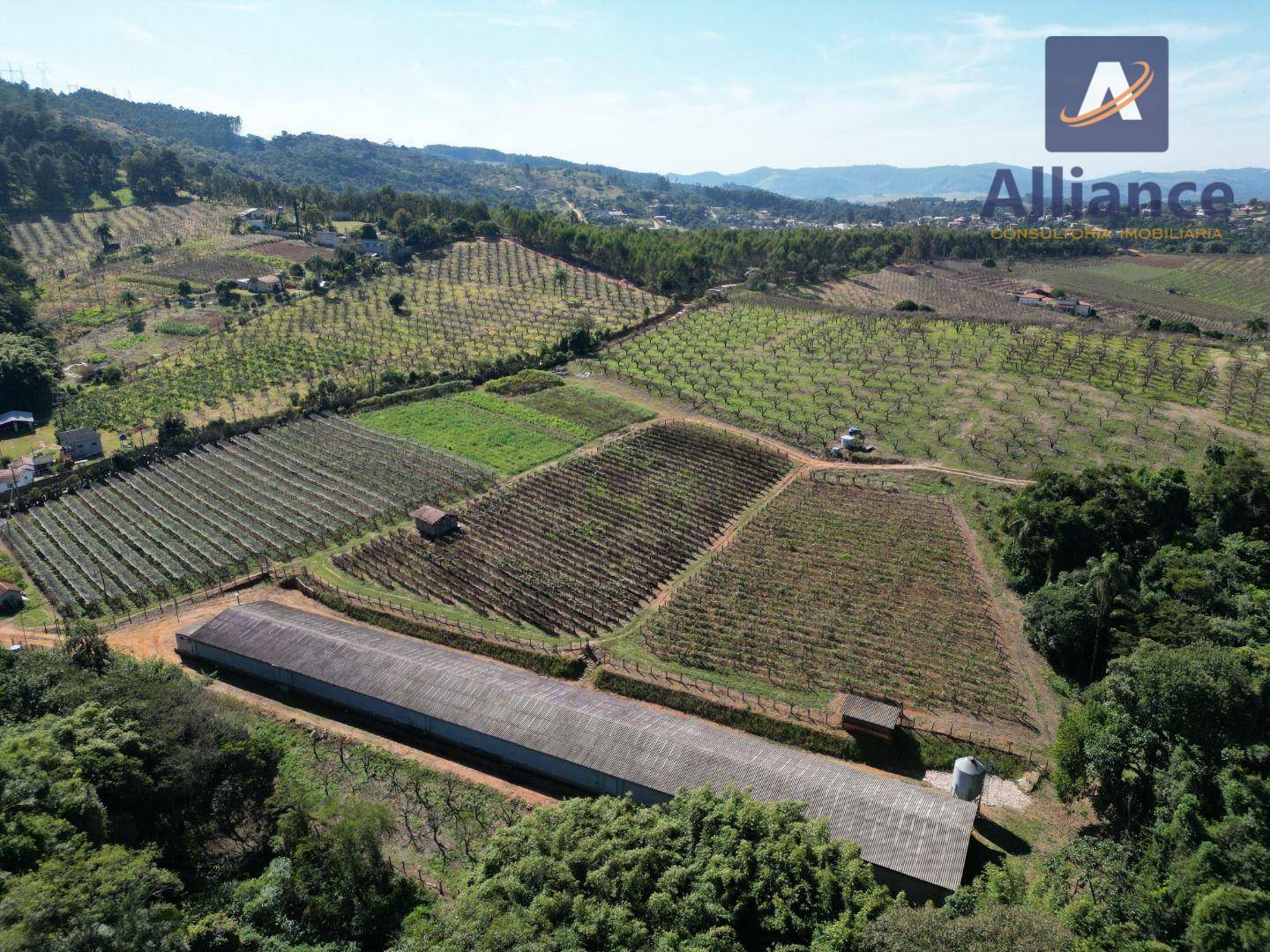 Terreno à venda, 27000M2 - Foto 11