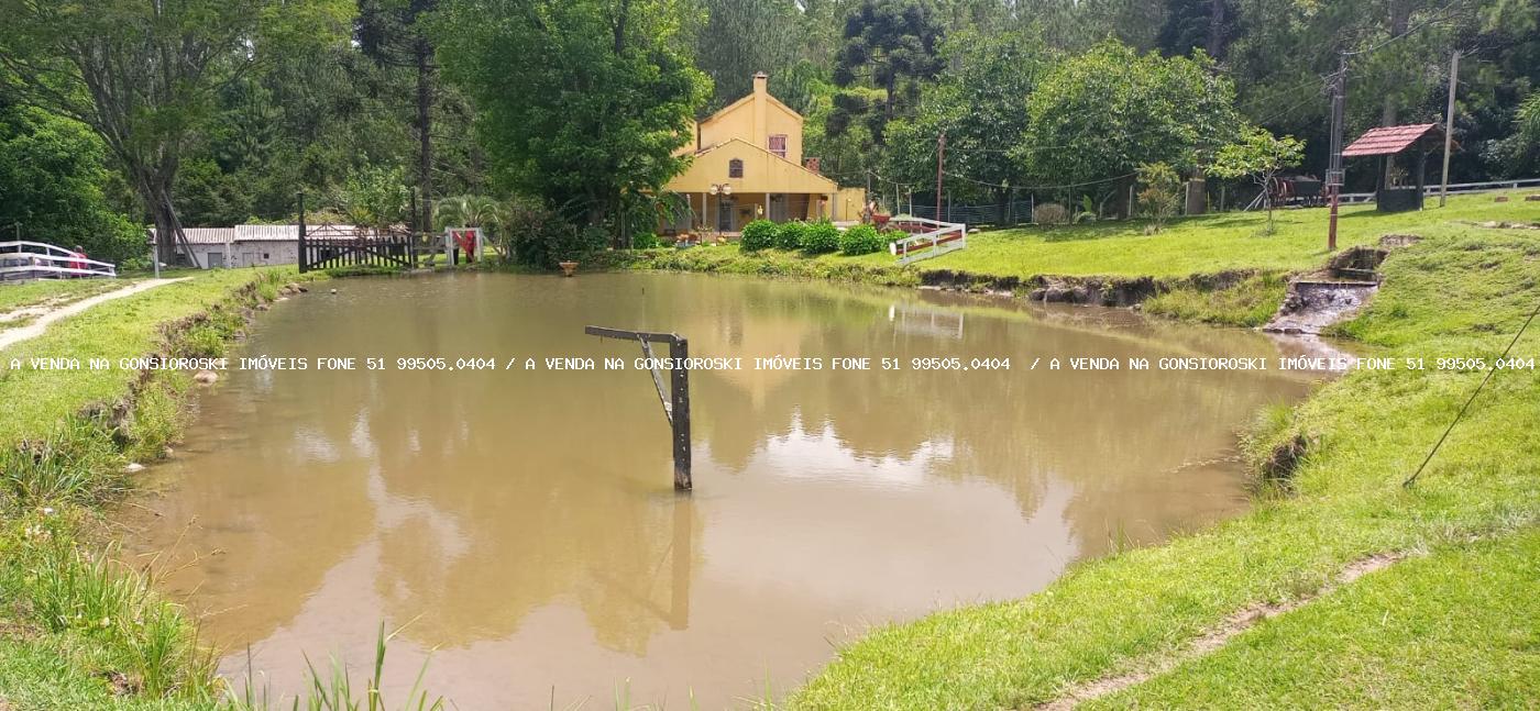 Chácara à venda com 4 quartos, 130000m² - Foto 5