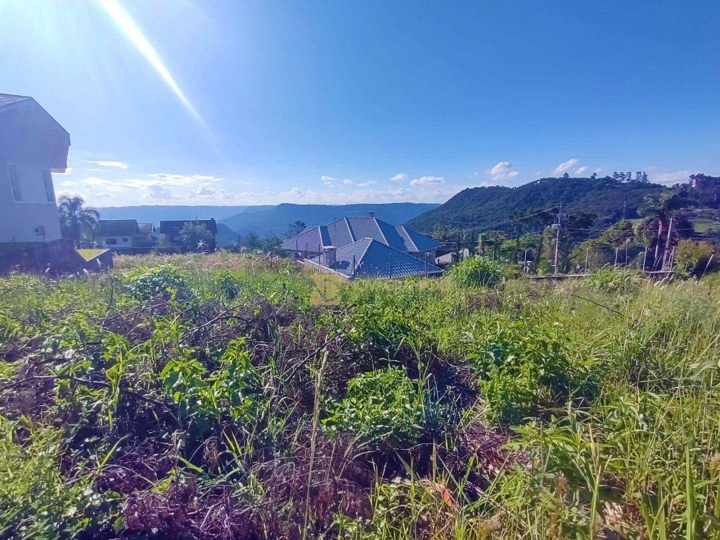 Terreno à venda, 486M2 - Foto 6