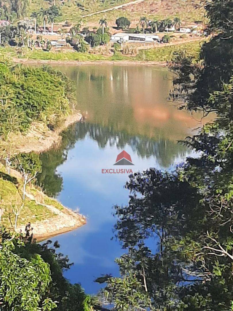 Chácara, 5 quartos, 5000 m² - Foto 3