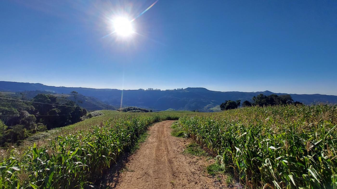 Fazenda-Sítio-Chácara, 93 hectares - Foto 1