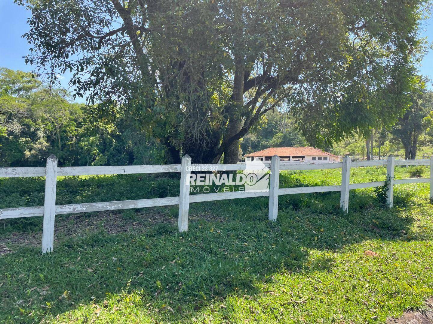 Haras e Área Rural Padrão à venda com 16 quartos, 2500m² - Foto 14