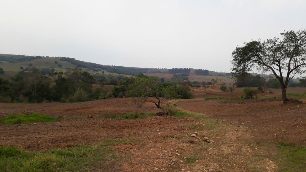 Fazenda à venda com 3 quartos, 1010000m² - Foto 1