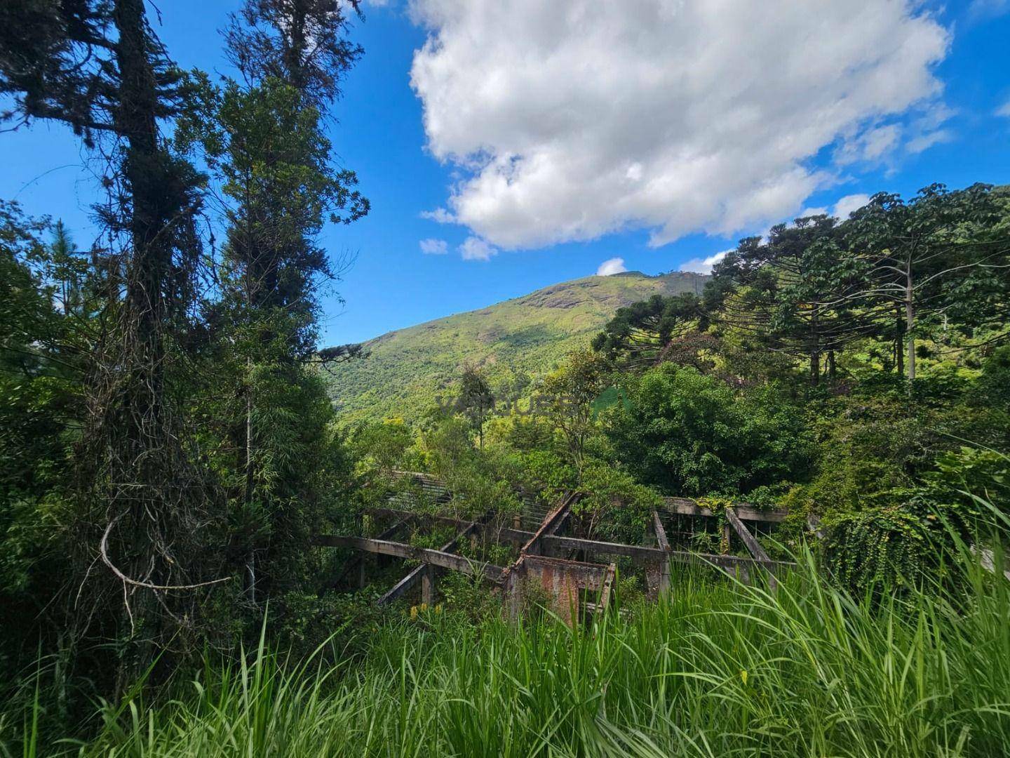 Sítio à venda, 31600M2 - Foto 19
