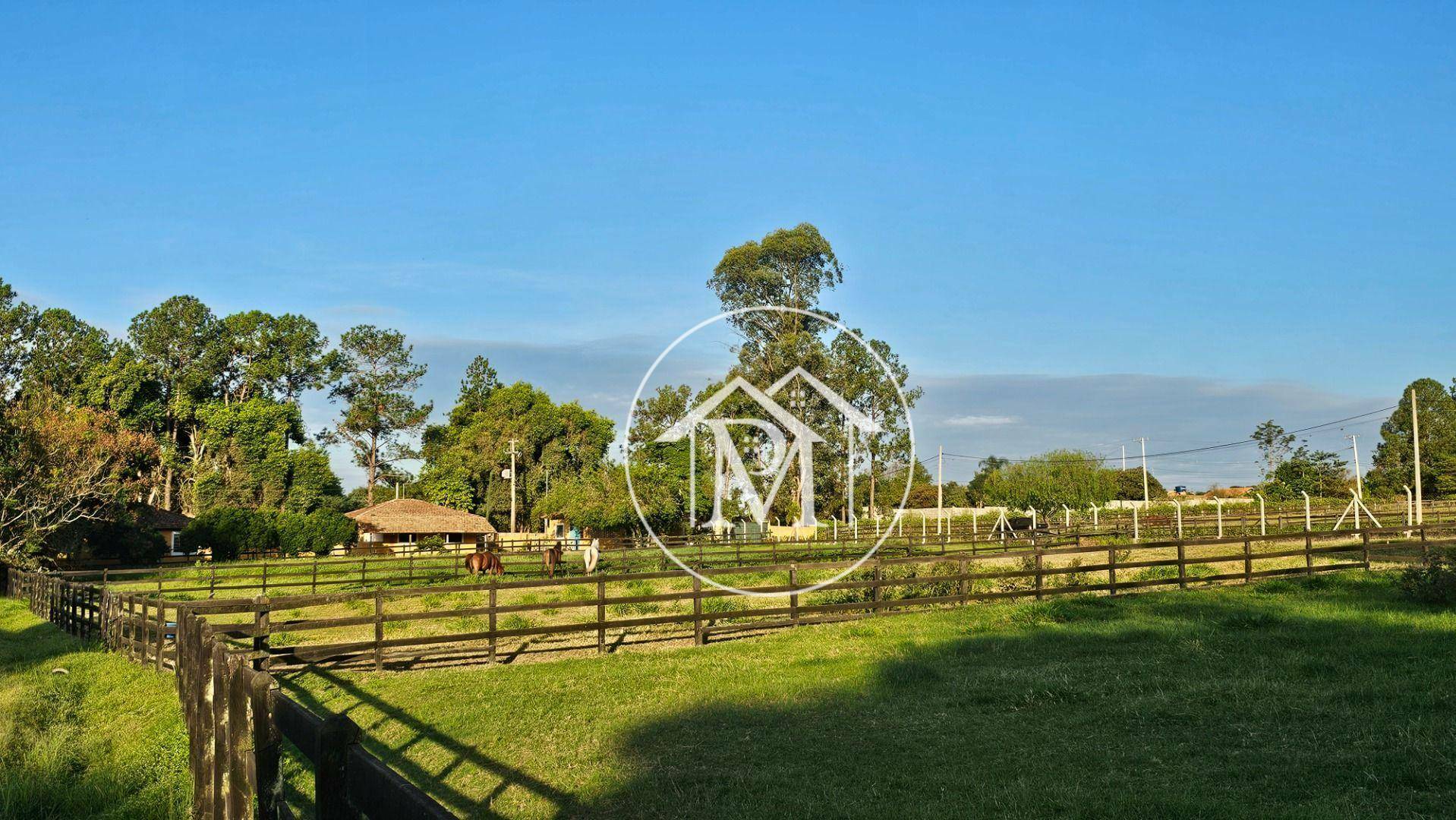 Haras e Área Rural Padrão à venda com 3 quartos, 133100M2 - Foto 4