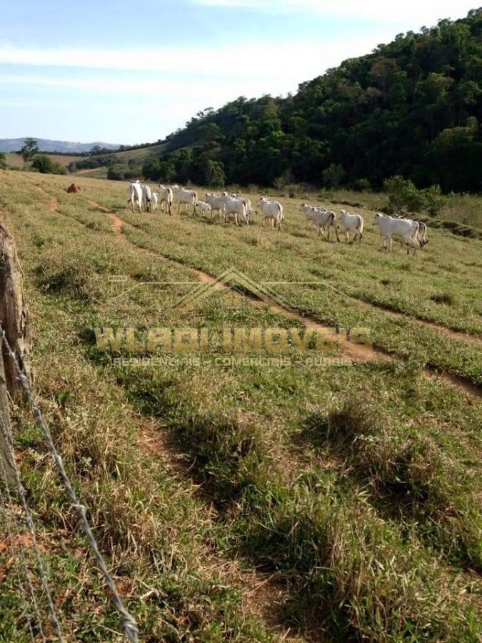Fazenda à venda, 30m² - Foto 15