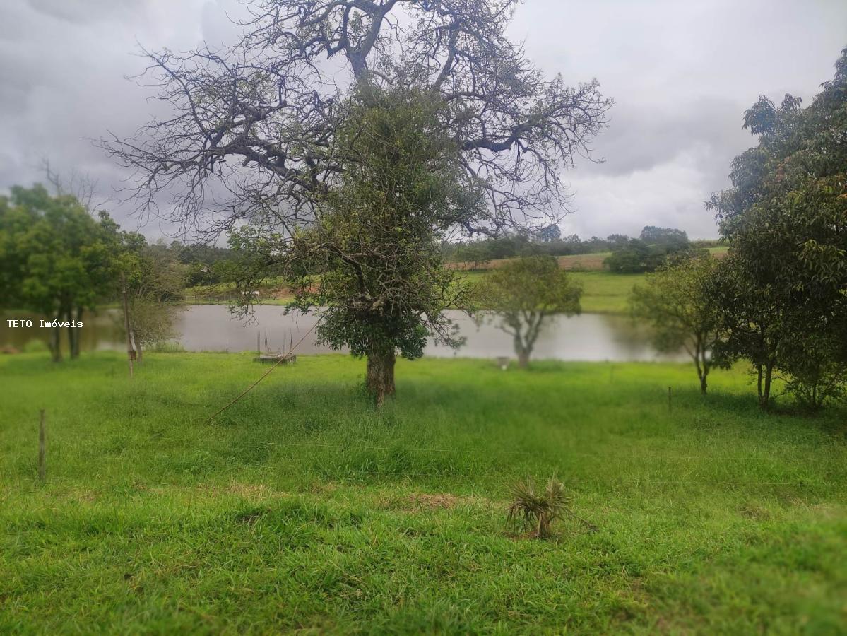 Fazenda à venda com 4 quartos, 9m² - Foto 57