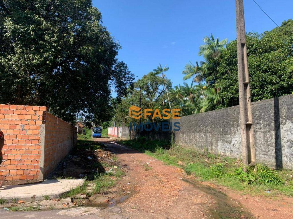 Terreno, 2 hectares - Foto 5