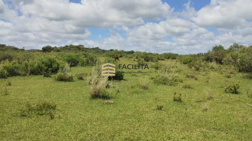 Fazenda-Sítio-Chácara, 330 hectares - Foto 2