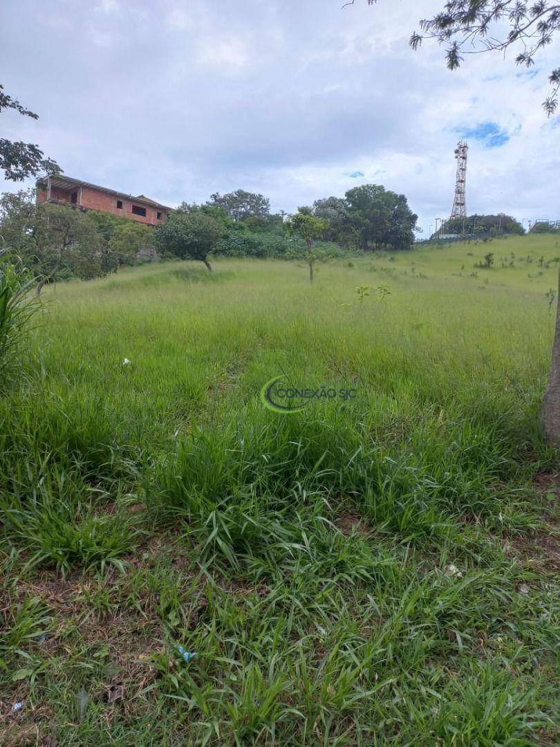 Terreno à venda, 19561M2 - Foto 3