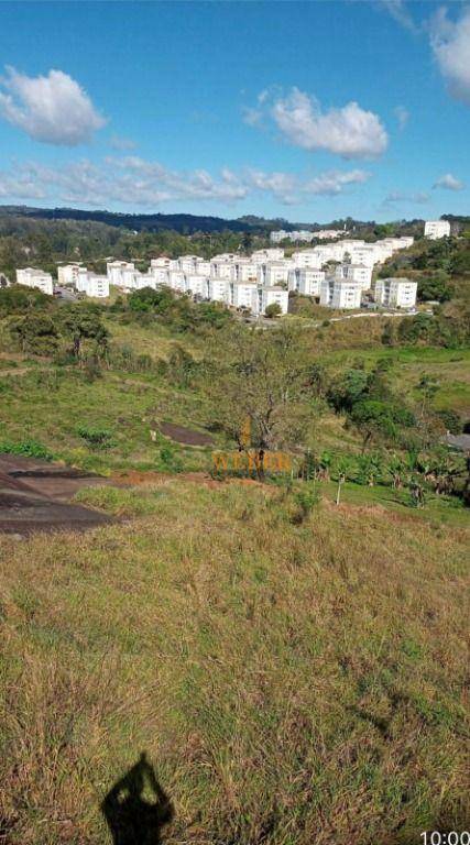 Terreno à venda, 125M2 - Foto 6