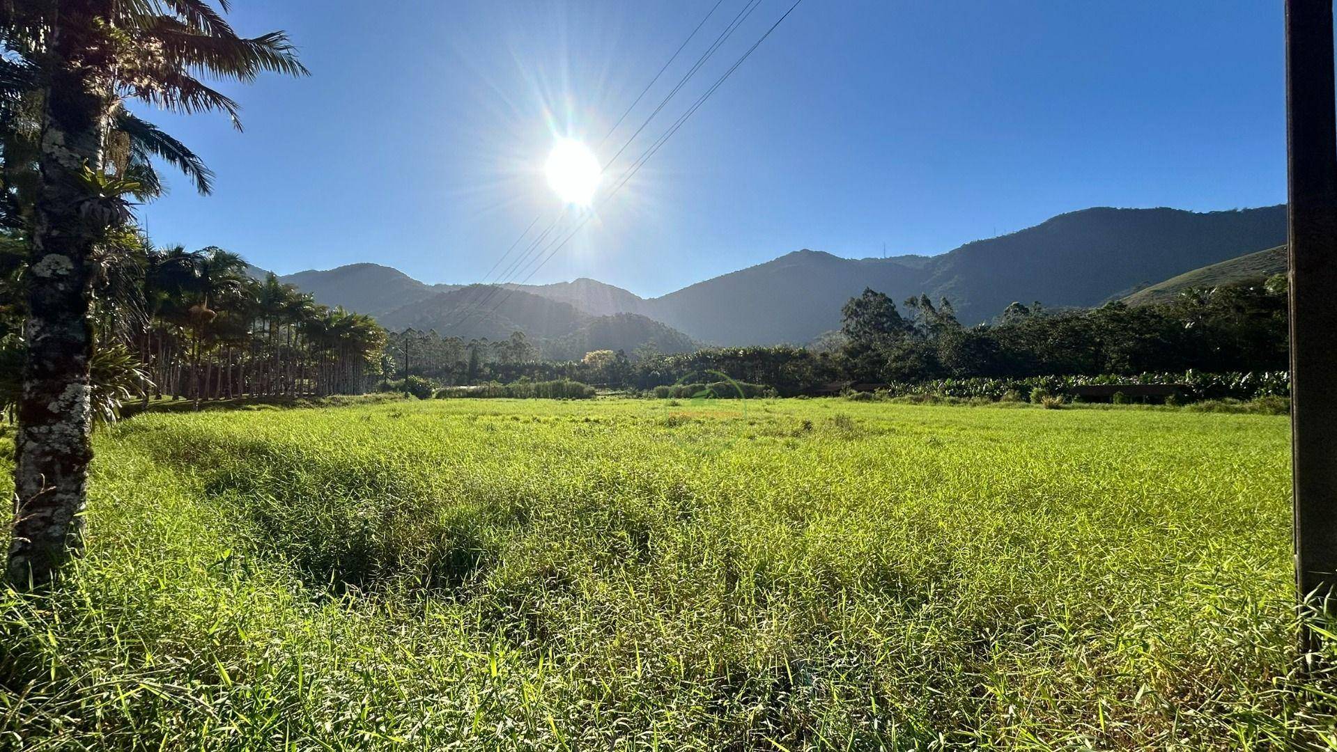 Sítio, 19 hectares - Foto 35