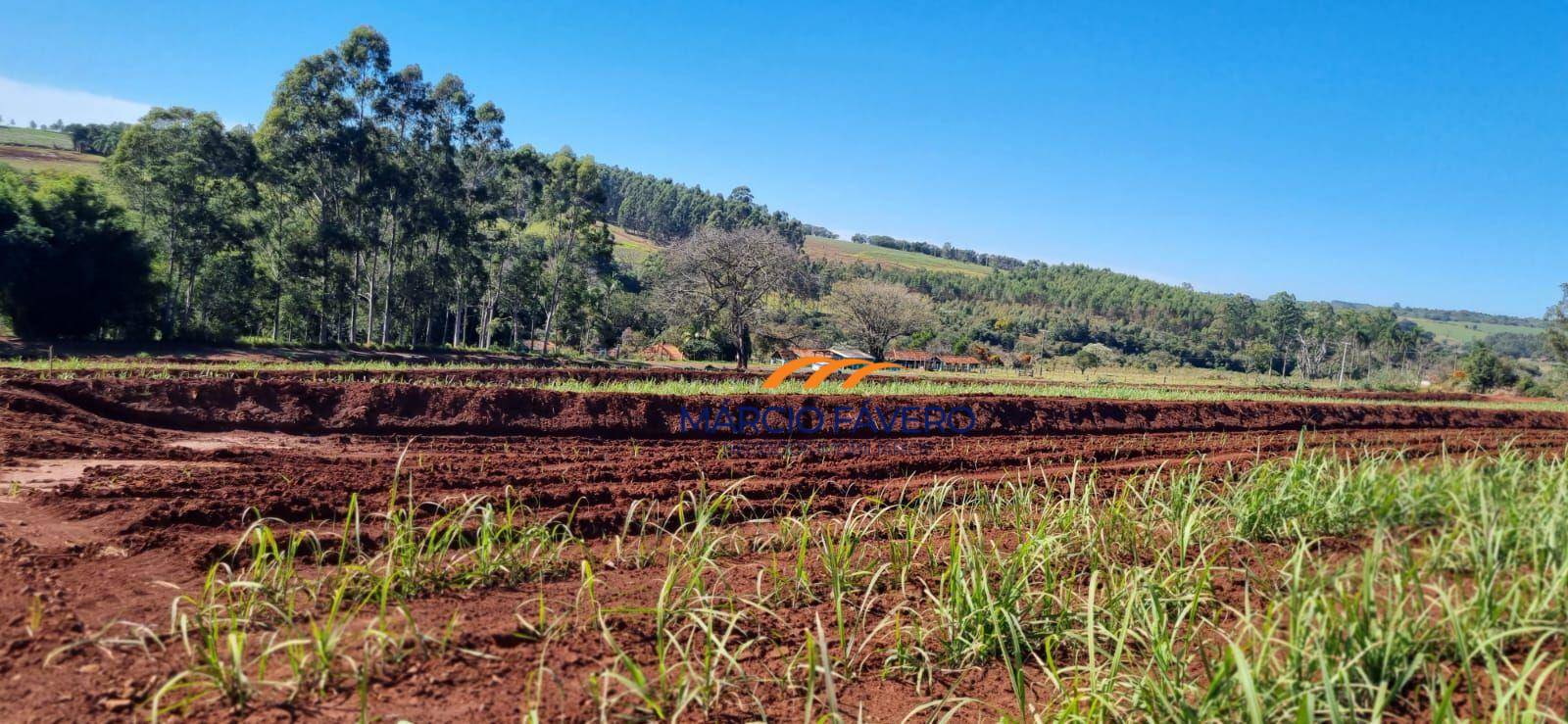 Sítio, 23 hectares - Foto 3