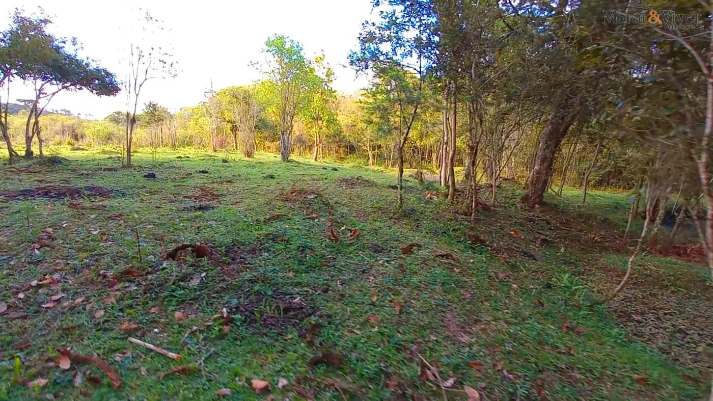 Chácara, 3 hectares - Foto 4