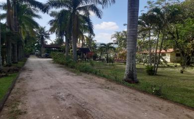 Sítio à venda com 4 quartos, 72000m² - Foto 4
