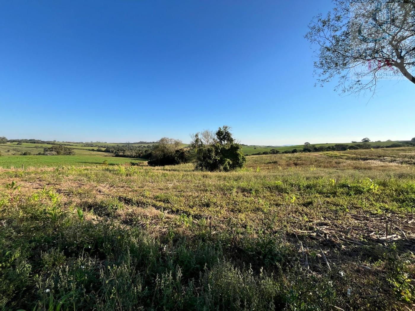 Sítio à venda com 3 quartos, 84700m² - Foto 4