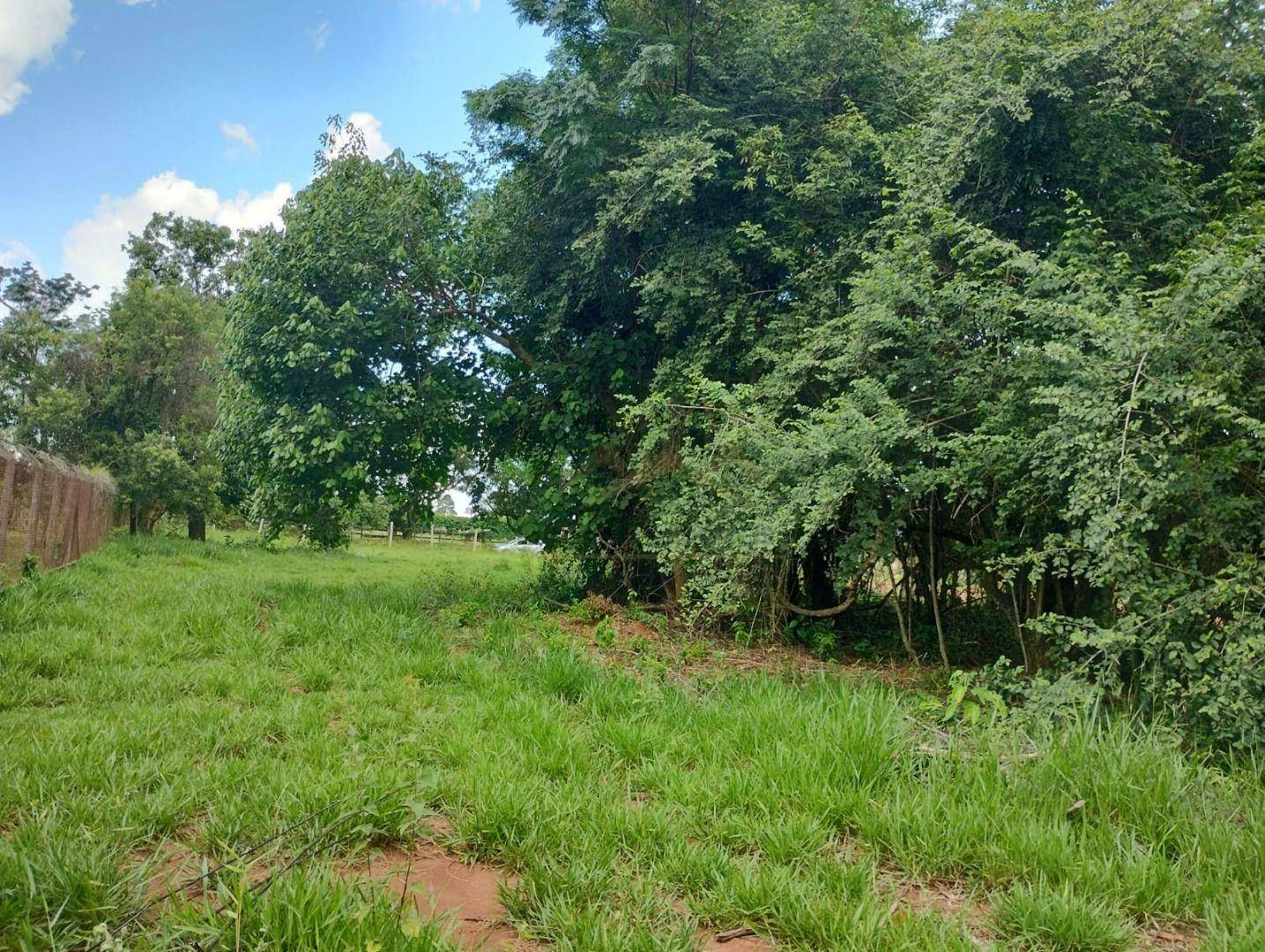 Terreno à venda, 2600M2 - Foto 2
