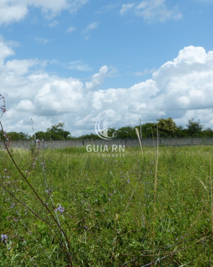 Terreno, 1756 m² - Foto 2