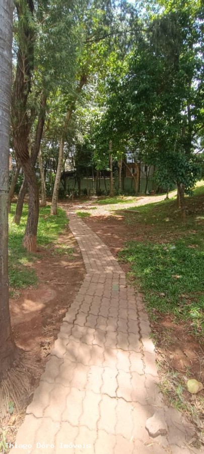 Apartamento à venda com 3 quartos, 65m² - Foto 19