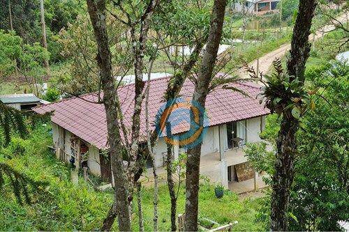 Chácara, 2 hectares - Foto 1