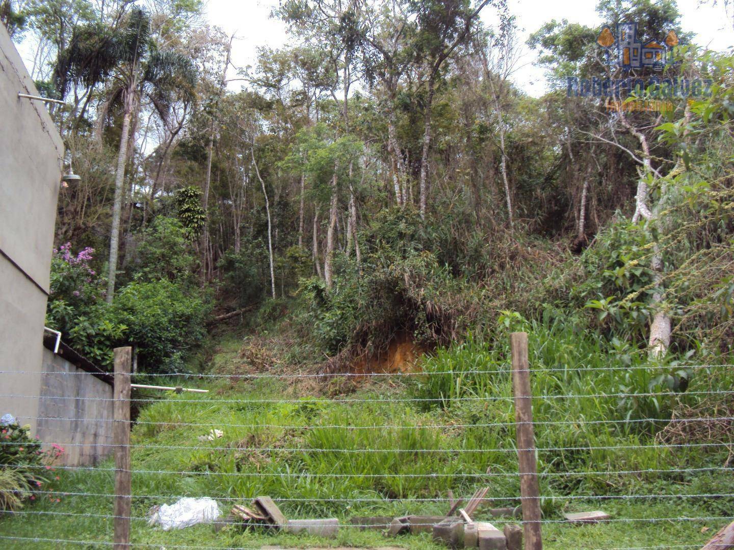 Terreno à venda, 45800M2 - Foto 3